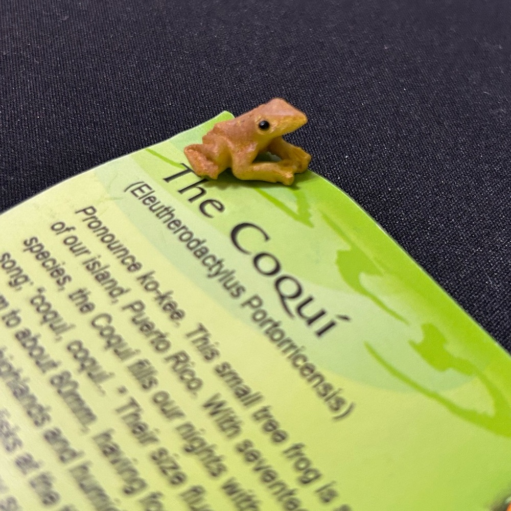 Coquí Pin• PR